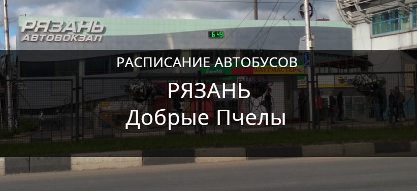 Автобус Рязань Добрые Пчелы